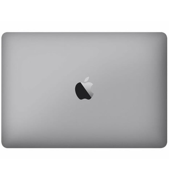 Apple MacBook 10,1 2013 (Silver)