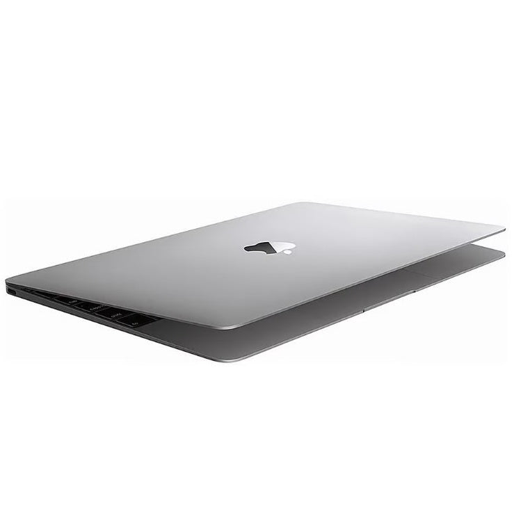 Apple MacBook 10,1 2013 (Gold)