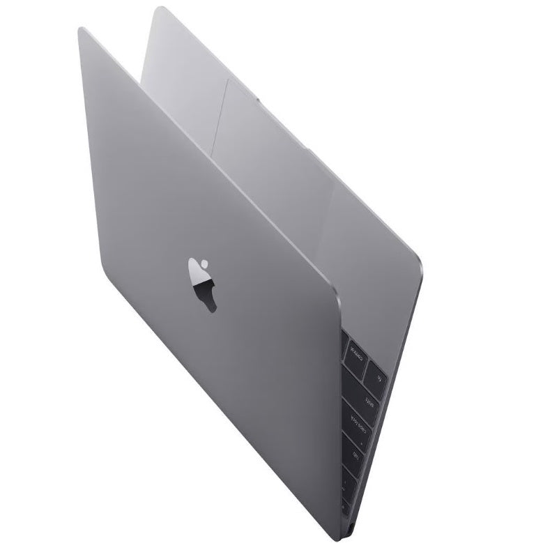 Apple MacBook 10,1 2013 (Silver)